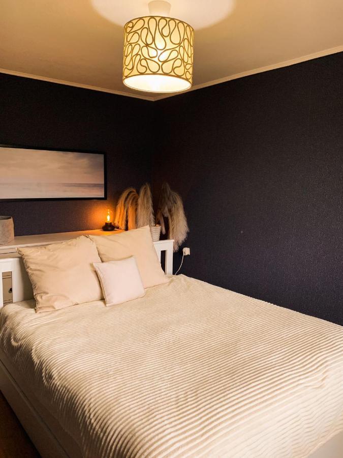 Comfortable Two-Room Apartment リガ エクステリア 写真