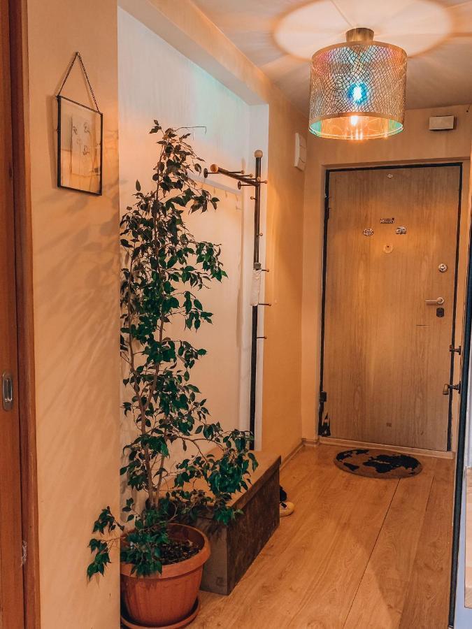 Comfortable Two-Room Apartment リガ エクステリア 写真