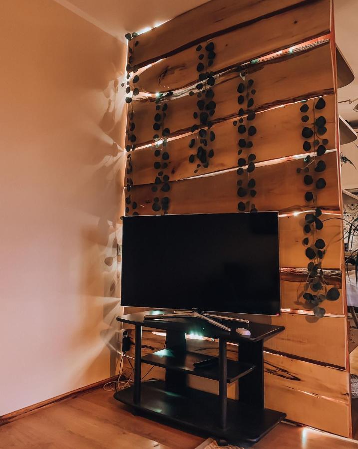 Comfortable Two-Room Apartment リガ エクステリア 写真